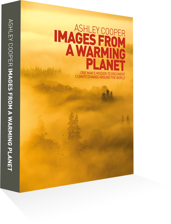 IFWAP Front Book Cover Full